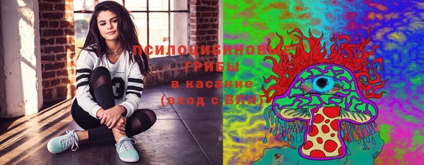apvp Арсеньев