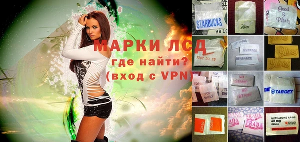 гашик Аркадак