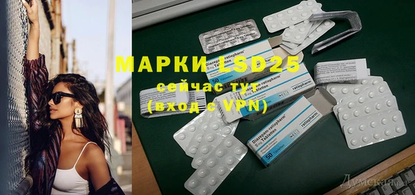 гашик Аркадак